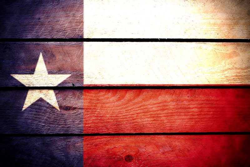 Texas / Robcartorres, Shutterstock