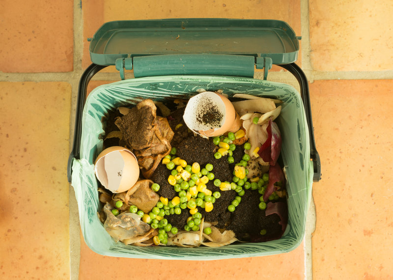 Food Scraps Pail / kay roxby, Shutterstock