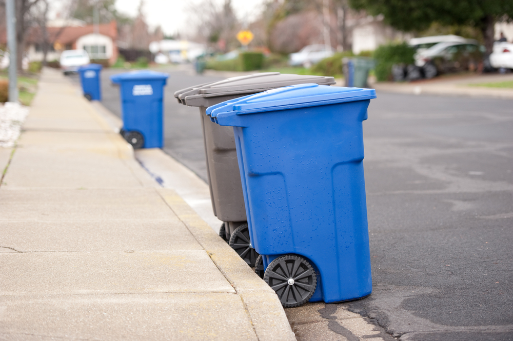 bins / aspen_rock, Shutterstock