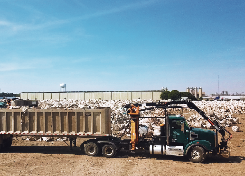 Reclaimer in Focus: Revolution