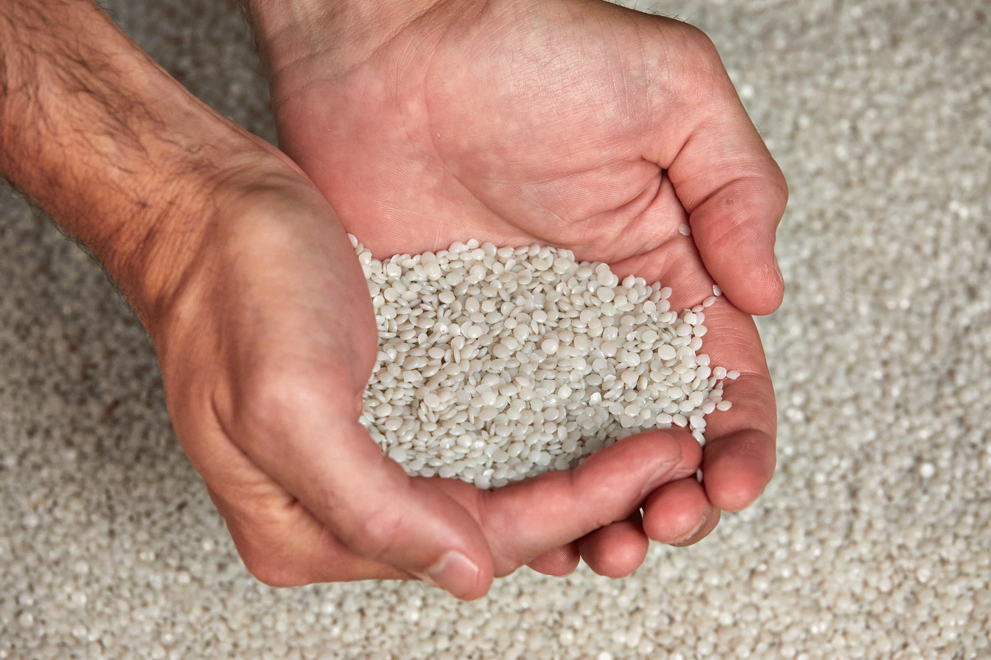 Top stories from March 2025