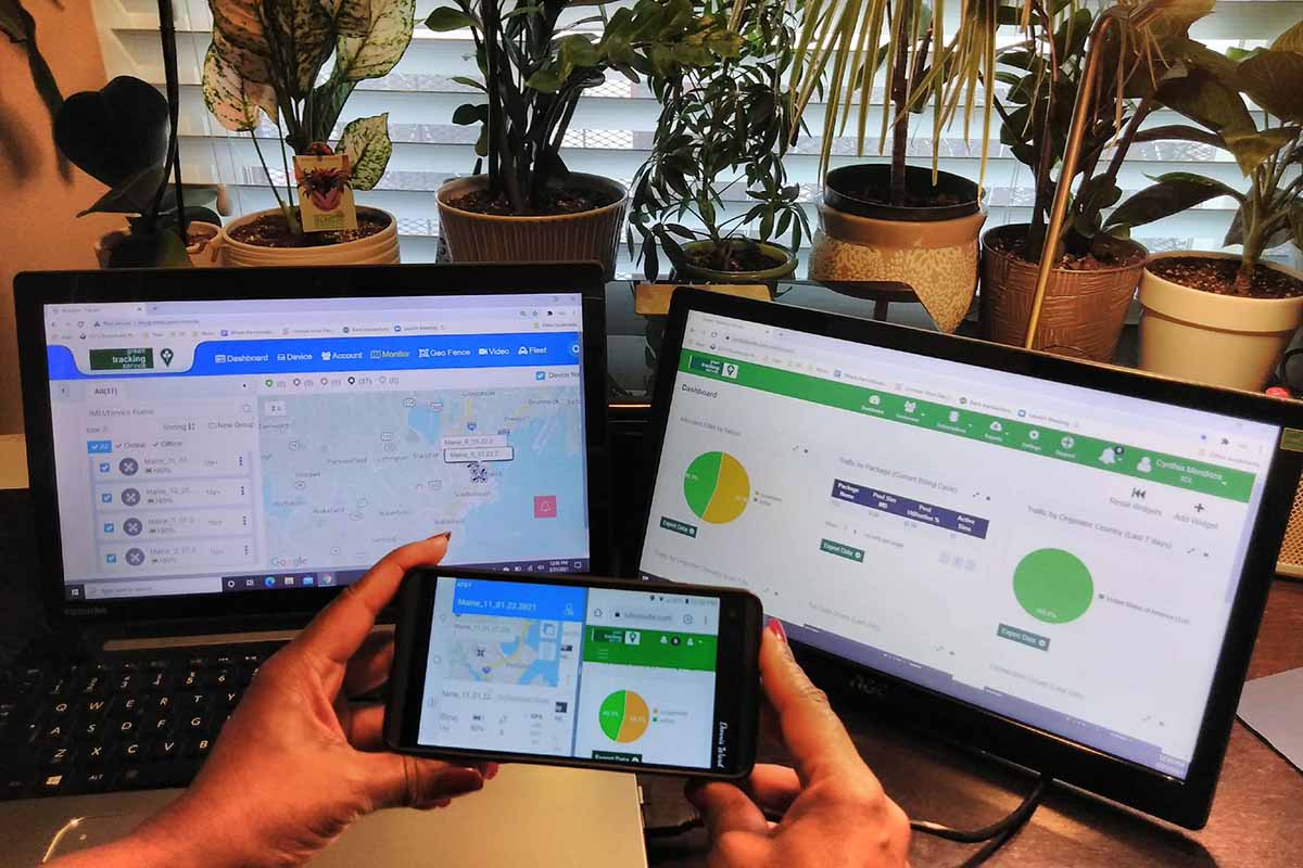 GreenlyFocus tracking dashboard view.