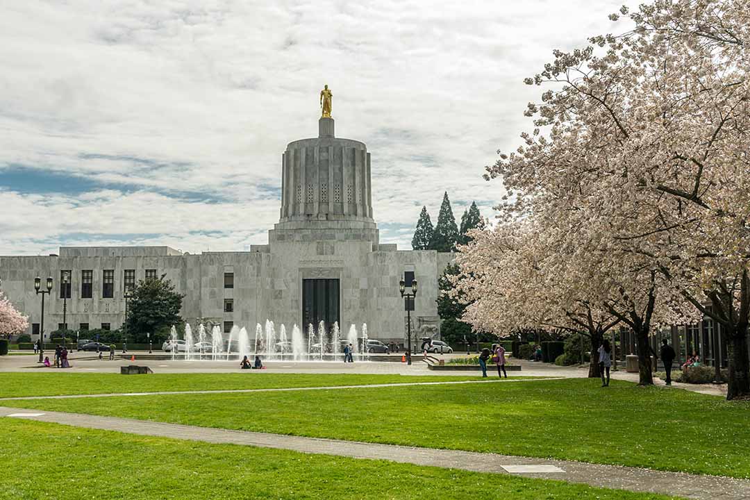 Our top stories from February 2025