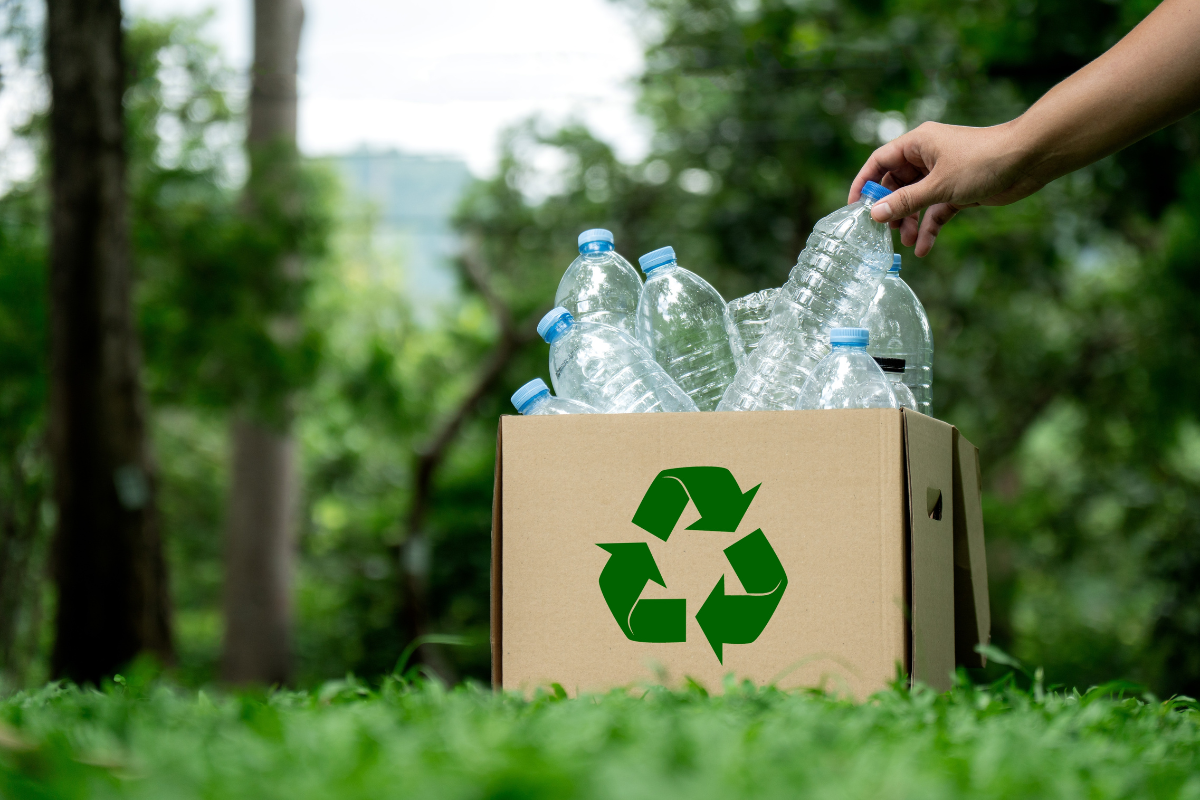 Q&A: Comparing recycling and renewable energy