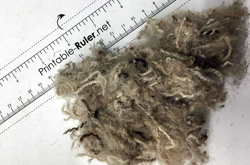 Circular Polymers to supply PET carpet fiber to Eastman