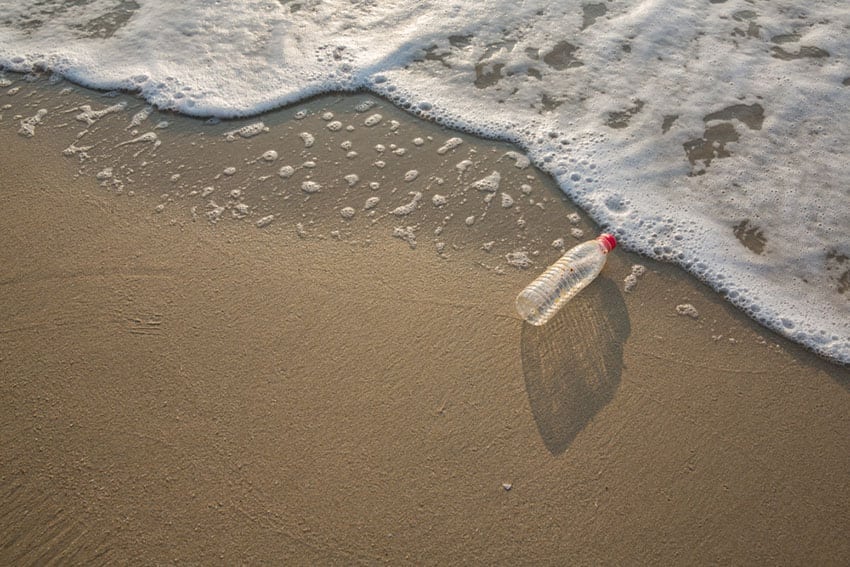 Cleanup campaign will call out brand owners