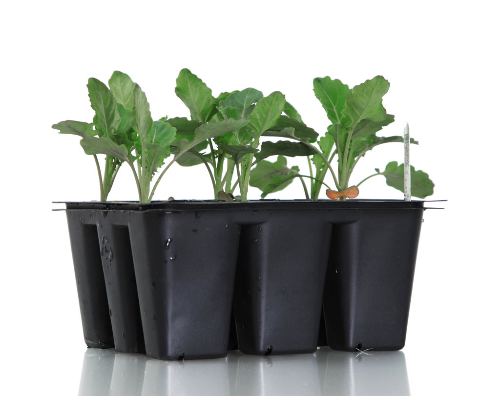 Report examines hard-to-sort plastic packaging