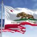 Stakeholders comment on CalRecycle director pick
