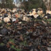 Federal indictment in Utah CRT stockpile case