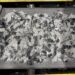 E-scrap sector continues solar processing push