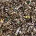 Shredded hard drives