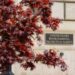 EPA budget request emphasizes recycling