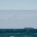 cargo ship at sea