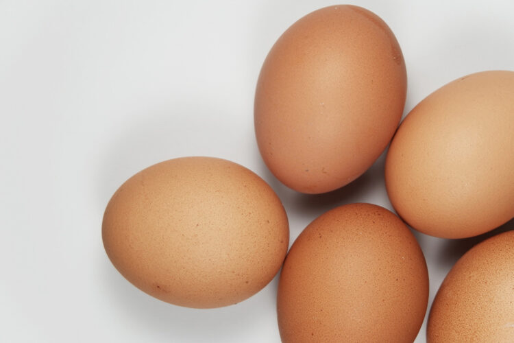 Closeup of brown eggs on a white background.