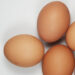 Closeup of brown eggs on a white background.
