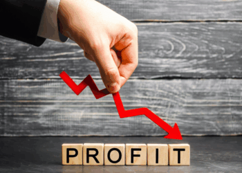 Margin pressure, inflation cut Sims earnings in half