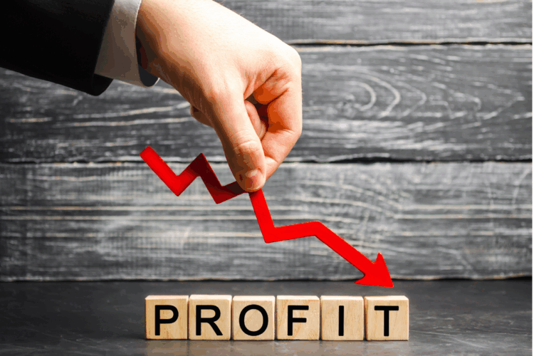 Margin pressure, inflation cut Sims earnings in half