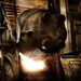 Major smelter offers details on e-scrap volumes