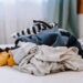 Goodwill, WM partner for textile recycling pilot
