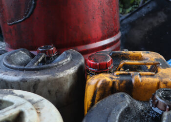 Top Stories from October 2025