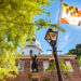 Emerging state EPR shows trend toward harmonization