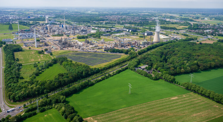 Aduro losses nearly double on year