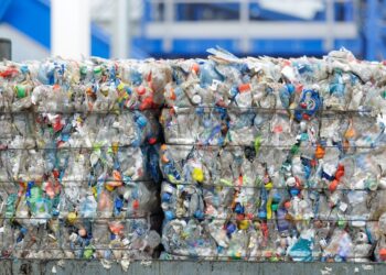 Bale pricing mostly flat for September